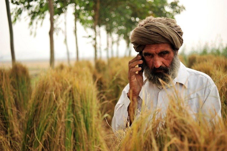 Indian Farmer