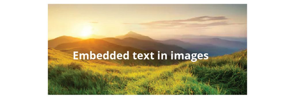 Embedded Text in Images